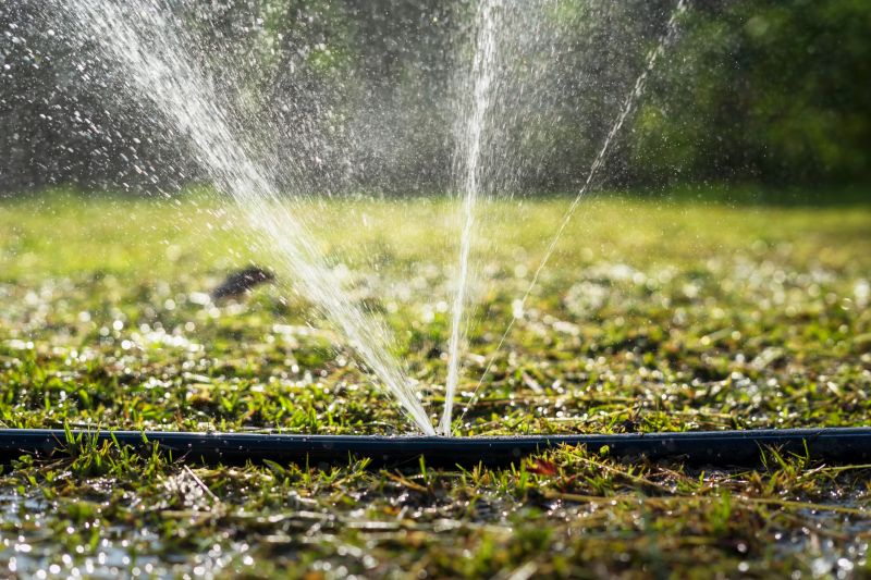 Garden Sprinkler Replacement in Honolulu, HI