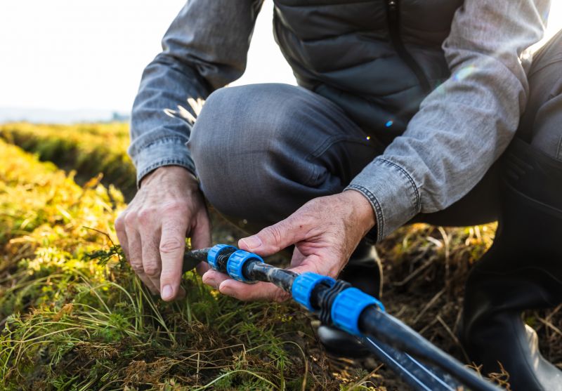 Early Fall Preparation