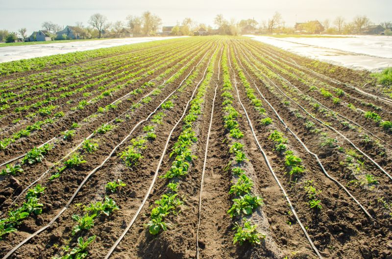 Underground Irrigation Service in Ventura County, CA